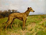 Champion Greyhound Dee Flint by Arthur Wardle